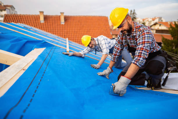 Best Roof Insulation Installation  in Mauston, WI