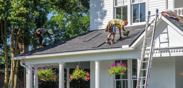 Best Roof Moss and Algae Removal  in Mauston, WI